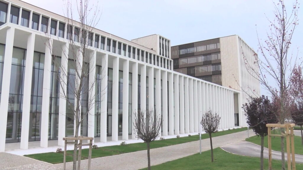 Prekršajna prijava protiv maloletnika koji je bacao zastave SNS-a