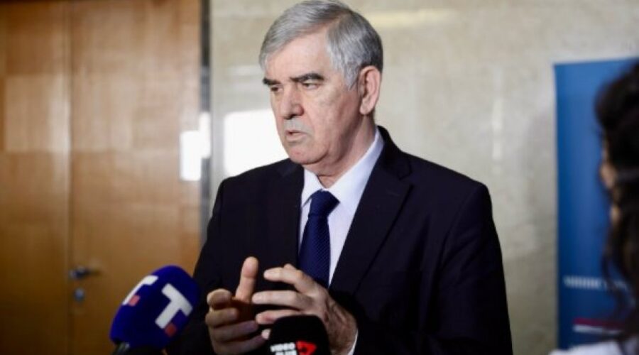 Beriša o slučaju Ratka Mladića