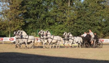U Kikindi održana 31. „Fijakerijada“ (FOTO)