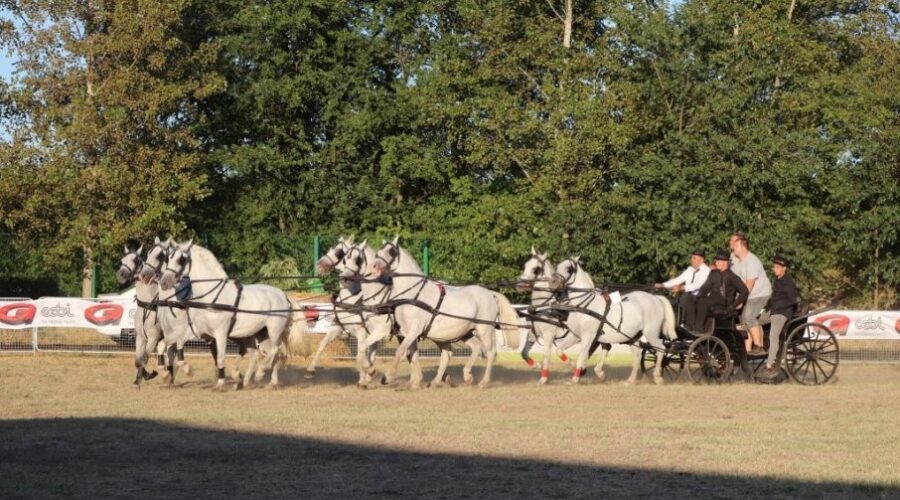 U Kikindi održana 31. „Fijakerijada“ (FOTO)