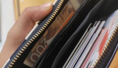 Statistika: U Nišu prosečna plata 117 hiljada, u Pirotu 107, a Leskovcu 94 hiljade dinara