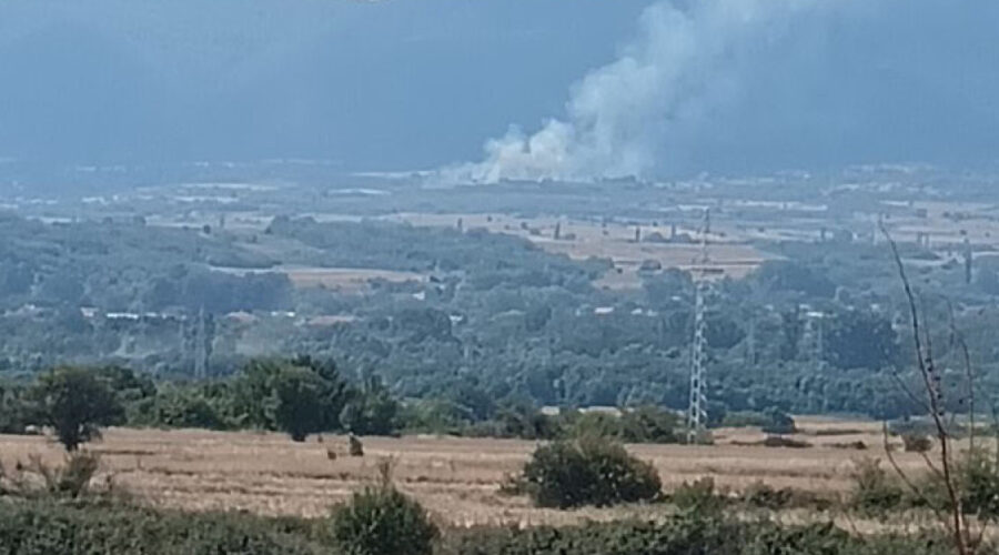 (Foto/video) Gori kod Vranja: Vatrogasci gase vatru u Lukovu, u Srbiji aktivno 35 požara