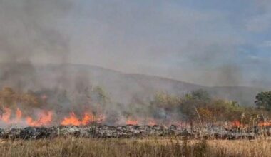 U Slišanu izgorelo 35 hektara šume, u bojničkom kraju 20
