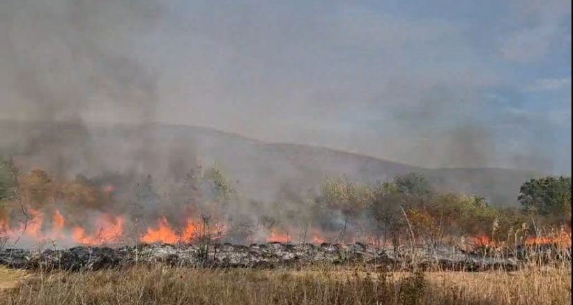 U Slišanu izgorelo 35 hektara šume, u bojničkom kraju 20