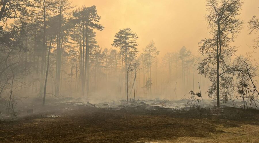 Aktuelni požari širom Srbije: Najteže u Deliblatskoj peščari i na Goču