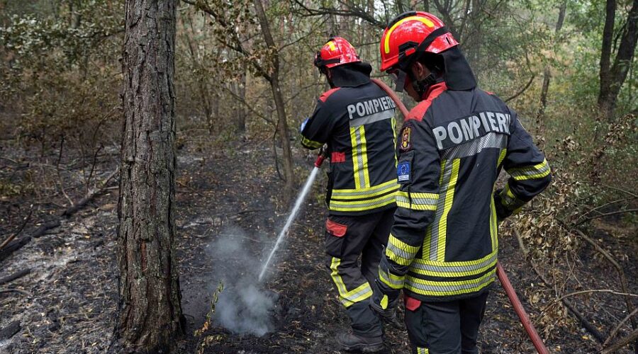 Nemački vatrogasci o požaru u Deliblatskoj peščari: Situacija veoma teška zbog uslova na terenu
