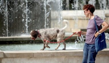 Vreme danas: Sunčano i toplo, temperatura do 36 stepeni