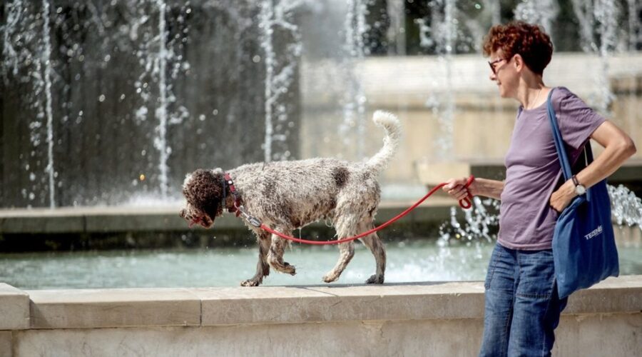 Vreme danas: Sunčano i toplo, temperatura do 36 stepeni