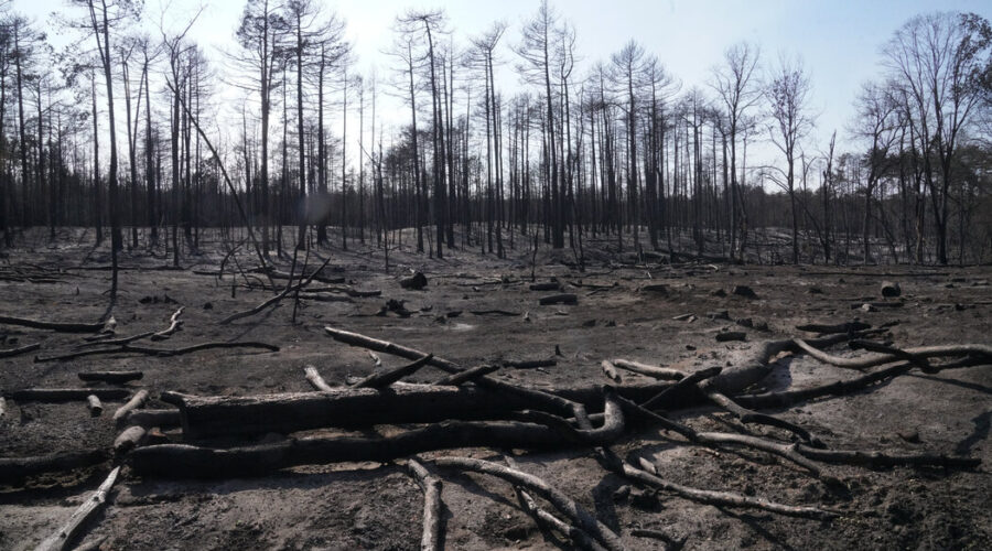 U Srbiji aktivno 12 požara, bez novih žarišta u Deliblatskoj peščari, Vojvodinašume donirala hranu za životinje