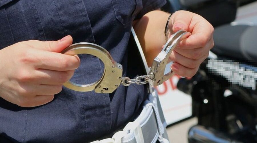 U stanu Novosađanina pronađeno više od 2,8 kg droge i pištolj