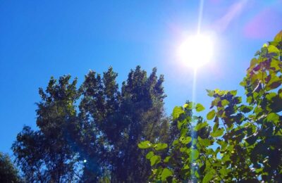 Veoma toplo, sa temperaturama do 38 stepeni