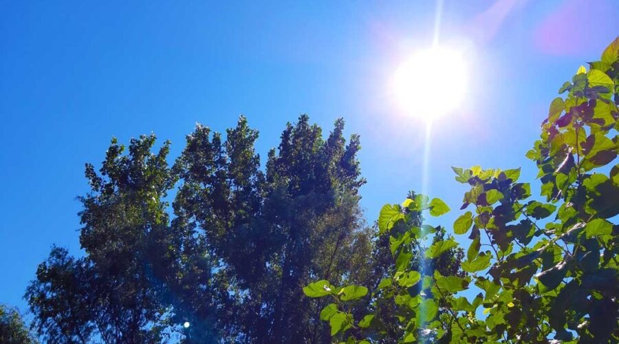 Veoma toplo, sa temperaturama do 38 stepeni