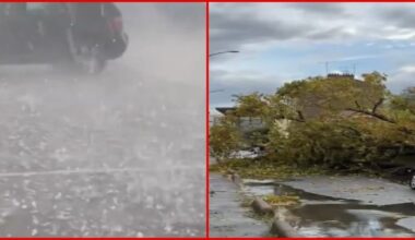 Snažno nevreme, padala stabla saobraćaj u haosu