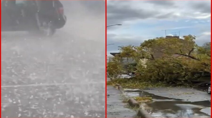 Snažno nevreme, padala stabla saobraćaj u haosu
