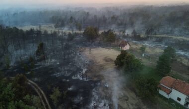 Stručnjaci o obnovi Deliblatske peščare: Pogrešna sanacija mogla bi da napravi dodatnu štetu