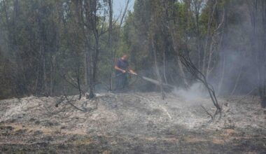 RHMZ: Danas i sutra u Deliblatskoj peščari meteorološki uslovi veoma nepovoljni