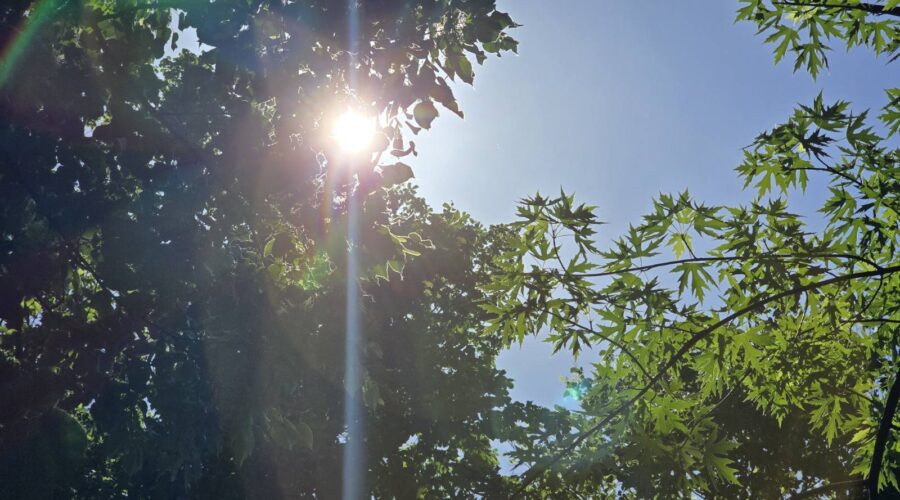 Danas sunčano i vrućina – Naslovi.net