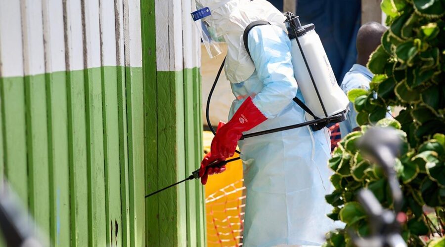 Opasna zaraza osvaja istok zemlje! Situacija postaje sve gora, epidemija se širi ogromnom brzinom!