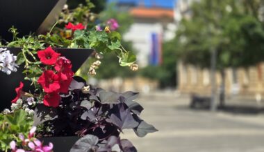 Tokom dana vrućina, popodne mogući kratkotrajni lokalni pljuskovi
