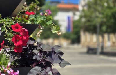 Tokom dana vrućina, popodne mogući kratkotrajni lokalni pljuskovi