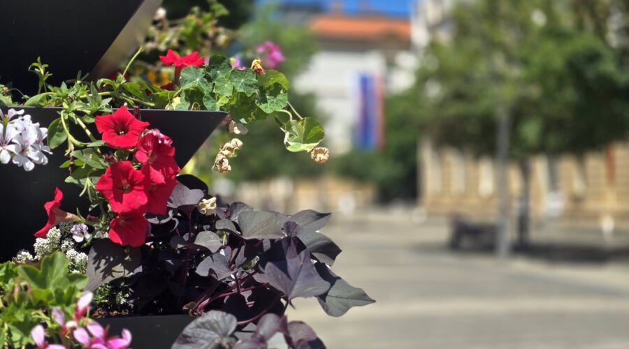 Tokom dana vrućina, popodne mogući kratkotrajni lokalni pljuskovi