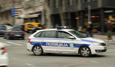 Jeziva nesreća kod Negotina: BMW udario srnu, sleteo s puta i zakucao se u drvo, žena izgubila život