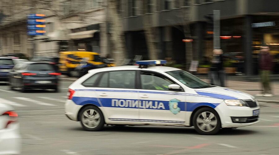 Jeziva nesreća kod Negotina: BMW udario srnu, sleteo s puta i zakucao se u drvo, žena izgubila život