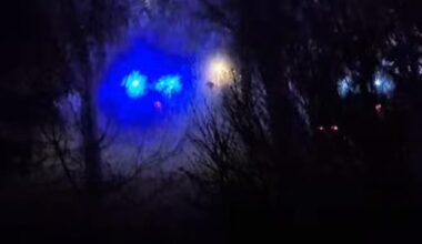 Motociklista (18) pregazio zeca na putu pa se zakucao u stub! Mladić poginuo na licu mesta! Bizarna tragedija u Slavoniji!