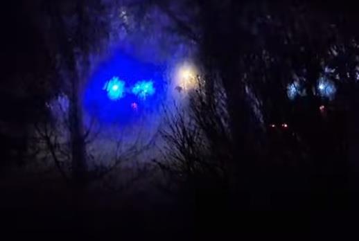 Motociklista (18) pregazio zeca na putu pa se zakucao u stub! Mladić poginuo na licu mesta! Bizarna tragedija u Slavoniji!