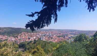 Da sam opozicionar, evo šta bih uradio