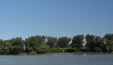 Zbog jakog vetra na Dunavu ne saobraća rumunska skela za Golubac