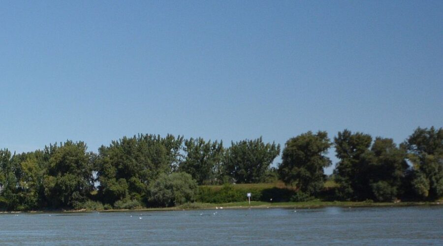 Zbog jakog vetra na Dunavu ne saobraća rumunska skela za Golubac