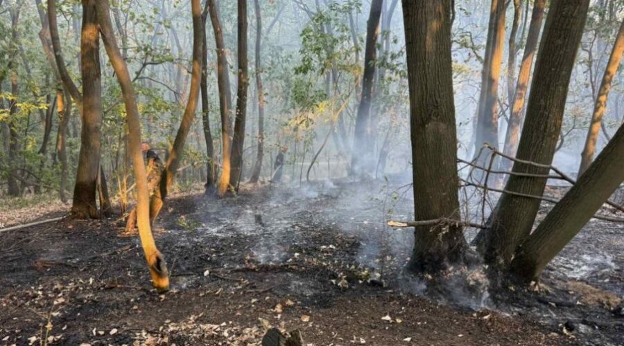 Požari aktivni u 11 opština, helikopteri u akciji