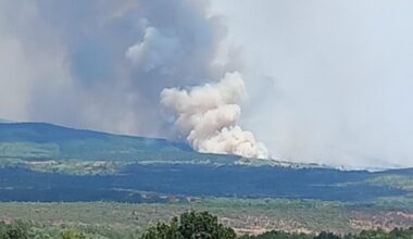 Vatrogasci iz Prokuplja među 65 spasilaca koji su odbranili kuće od požara kod Lebana