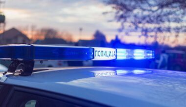 Težak udes kod Negotina, srna izletela na put, vozač je udario i zakucao se u drvo: žena poginula