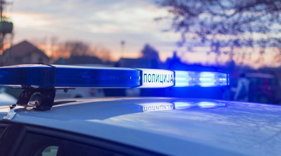 Težak udes kod Negotina, srna izletela na put, vozač je udario i zakucao se u drvo: žena poginula