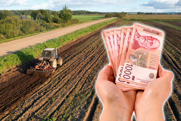 Njive gore, usevi se suše, loša godina uzela više od polovine prinosa: Srpski seljak sabira štetu, a ova statistika je poražavajuća