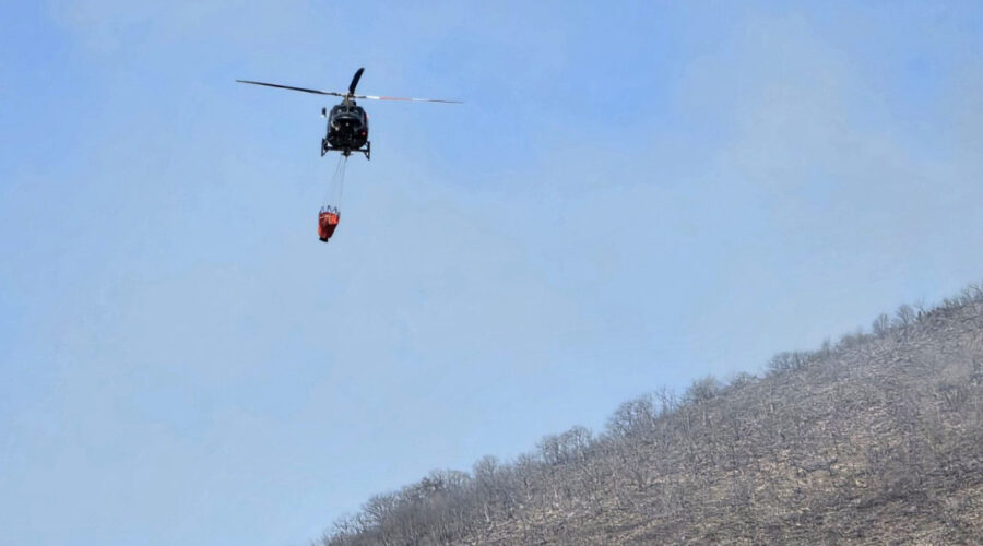 Požari u Crnoj Gori, Severnoj Makedoniji i Hrvatskoj: Angažovani avioni