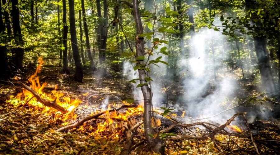 MUP: Ugašen požar kod Lebana, evakuisano 8 osoba i od vatre odbranjeno oko 40 kuća
