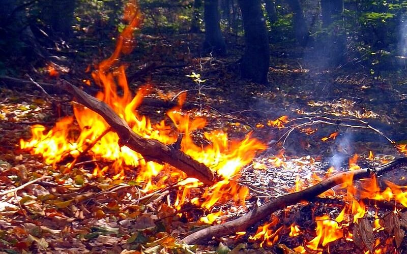 Ugašen požar kod Vranja: Vatrogasci spasili 14 ljudi i odbranili desetine kuća u selu Lukovo