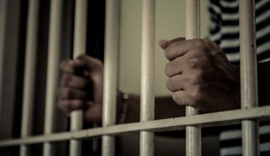 Tragedija u zatvoru “Idrizovo”: Zatvorenik se popeo na stub, uhvatio za žicu pod naponom i samo pao