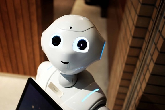 Humanoidni roboti će se proizvoditi u Šapcu, a srpski jezik učiti u Kragujevcu!?