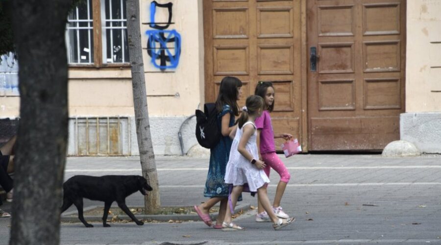 Stručnjaci preporučuju da se uskladi teret sa telesnom masom deteta