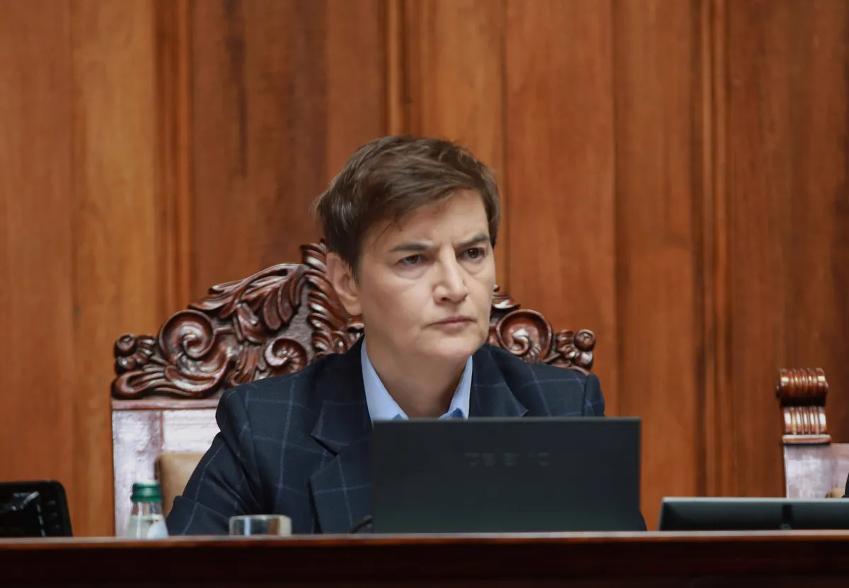 BIRODI traži zapisnik sastanka Brnabić s predsednikom udruženja Srpski suverenisti Vukšom Dragovićem