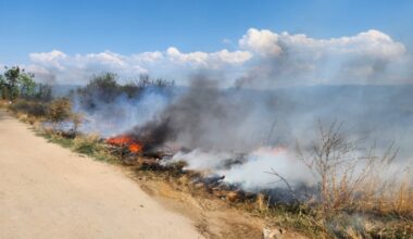 BRZA INTERVENCIJA SPASILA VIKENDICE I VINOGRADE: Požar kod Vranja