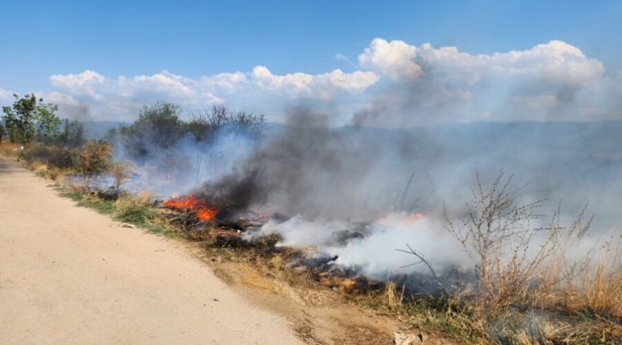 BRZA INTERVENCIJA SPASILA VIKENDICE I VINOGRADE: Požar kod Vranja