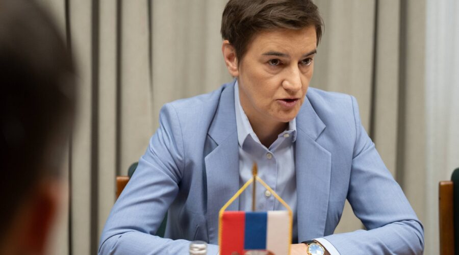 Brnabić u razgovoru sa simpatizerima SNS: „Da promenimo Ustav dok je Vučić premijer, pa nek se vrati da bude predsednik“ | Srpska dijaspora