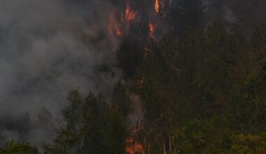 Buknuo požar i u ataru sela Bogutovac kod Kraljeva