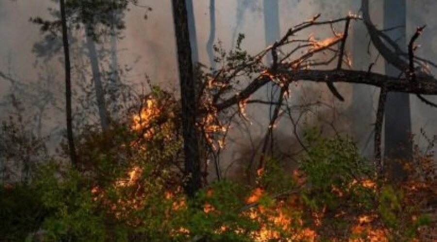 DOBRE VESTI:  Kod Bujanovca pobedili vatru, vode bitku sa posledicama