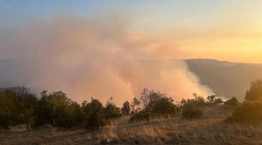 Gori na 20 lokacija širom Srbije: Požari u Deliblatskoj peščari, na Stolovima i Goču, jak vetar otežava gašenje